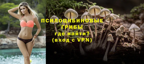 молекула духа Нефтекумск